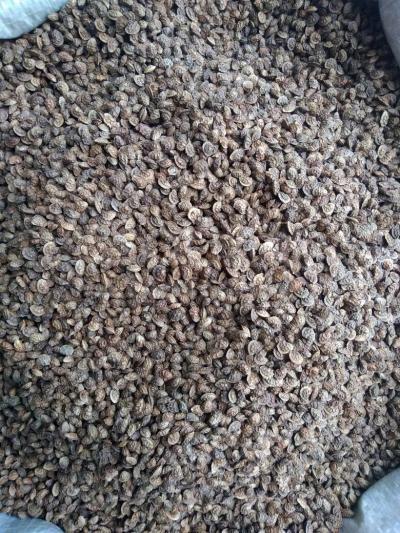 Экспорцет уругу,сорт песчаный 12'51 осуп чыгуу кубаты90%