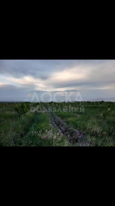 Продаю участок сельхоз назначения, 10 га Кегети.