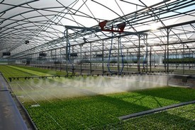 Передвижная автоматическая система полива IRMO 4, IRMO 11 URBINATI