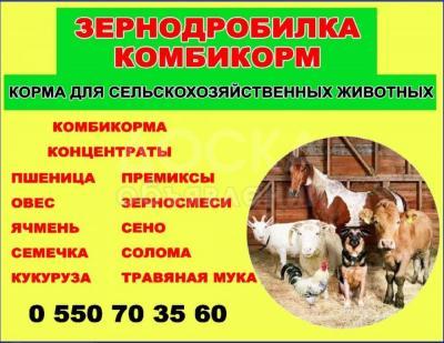 Комбикорм
Корма для сельскохозяйственных животных