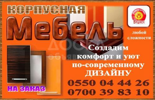 Корпусная мебель на заказ (любой сложности)