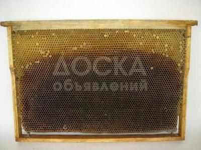 Продаю пчелиную сушь. Цена договорная