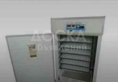 Продаю инкубатор СРОЧНО