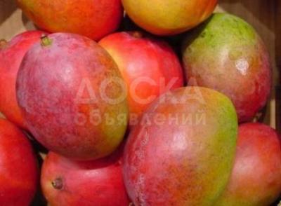 Манго из Испании