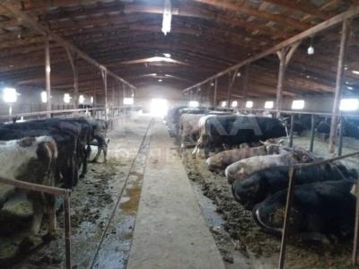 Продаю участок сельхоз назначения, 1.5 га Милянфан.