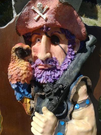 Пират с ружьем