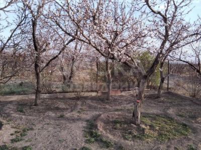 Продаю дачу 3-ком. 30кв. м., этаж-1, 12-сот., стена кирпич, ПСК АБРИКОС.