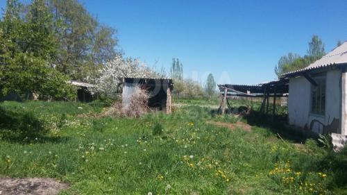 Продаю дом 2-ком. в с. Семеновка + огород (яблони, ягоды) с. Семеновка.