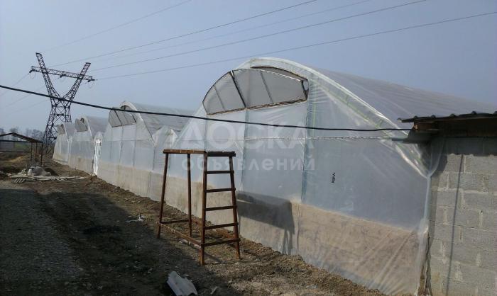 Продаю готовый бизнес срочно (теплица)