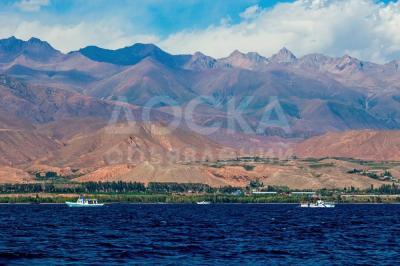 Продаю участок под строительство, 23,5 га Иссык-Куль.