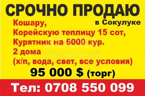 Срочно продаю кошару, теплицу , курятник! Сокулук.