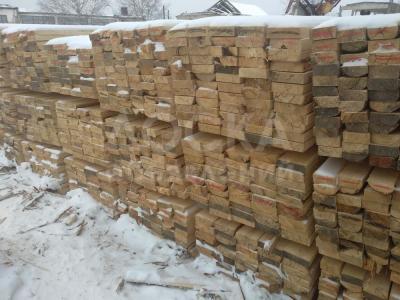 Жыгач Сосна