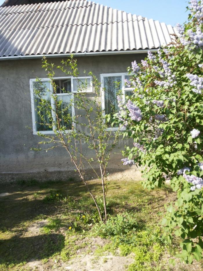 Продаю большой дом, 3 ком. + участок 5 соток, б/п, Энесай, 55 т $