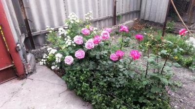 Продаю дом 6-ком. 70кв. м., этаж-1, 11,5-сот., стена саман, С. Лениское, Аламудунский район .