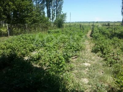 Продаю дом 5 комнат-ком. 58 квкв. м., этаж-1, 11.72-сот., стена другое, Село Мыкан. Ул. Ленейная дом 209.