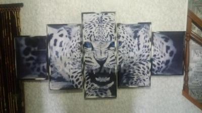 Модульная картина из 5-ти частей "Леопард".