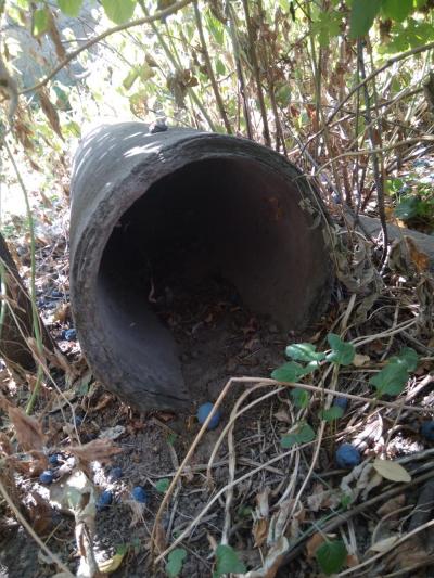 Продаю советскую асбестовую трубу