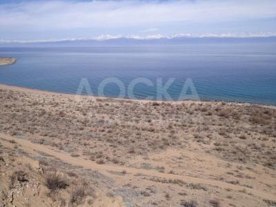 Продаю участок сельхоз назначения, 2 га Тонский район.