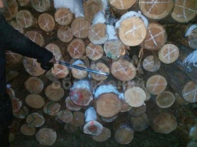 Лес. кругляк (сосна)