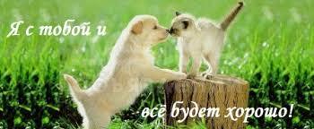 «Давайте – Поговорим Откровенно по Душам»., Психолог - Консультант