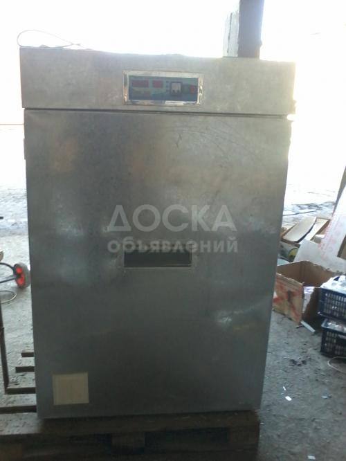 срочно продаю инкубатор на 1232 яиц в рассрочку на 1 месяц 25000 сом сразу 20000 до 5 мая полная автоматика