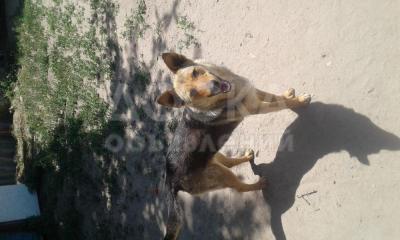 Ищу заботливые ручки