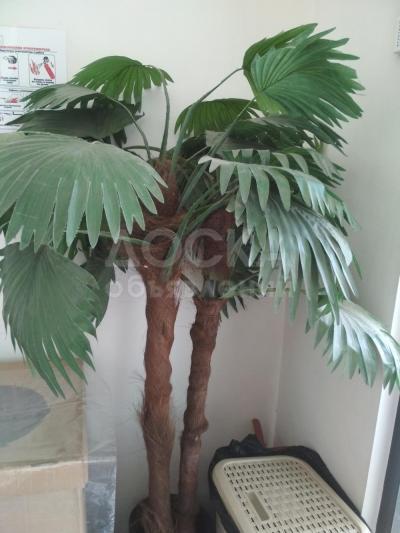 Здравствуйте