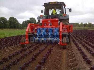 Машина автоматическая полольная Ferrari