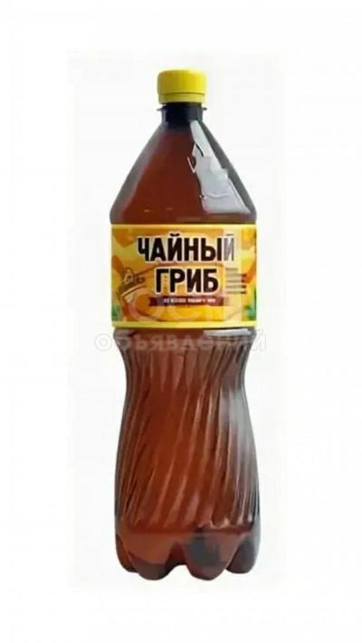 Чайный квас. комбуча.