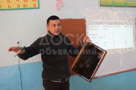 Обучение, бизнес курс "Пчеловодство"