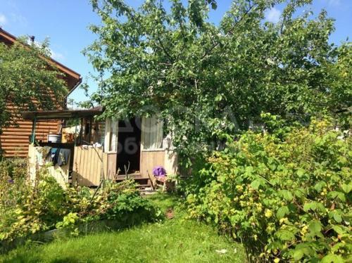 Дача Комсомол. В сердце Чолпон-Аты.