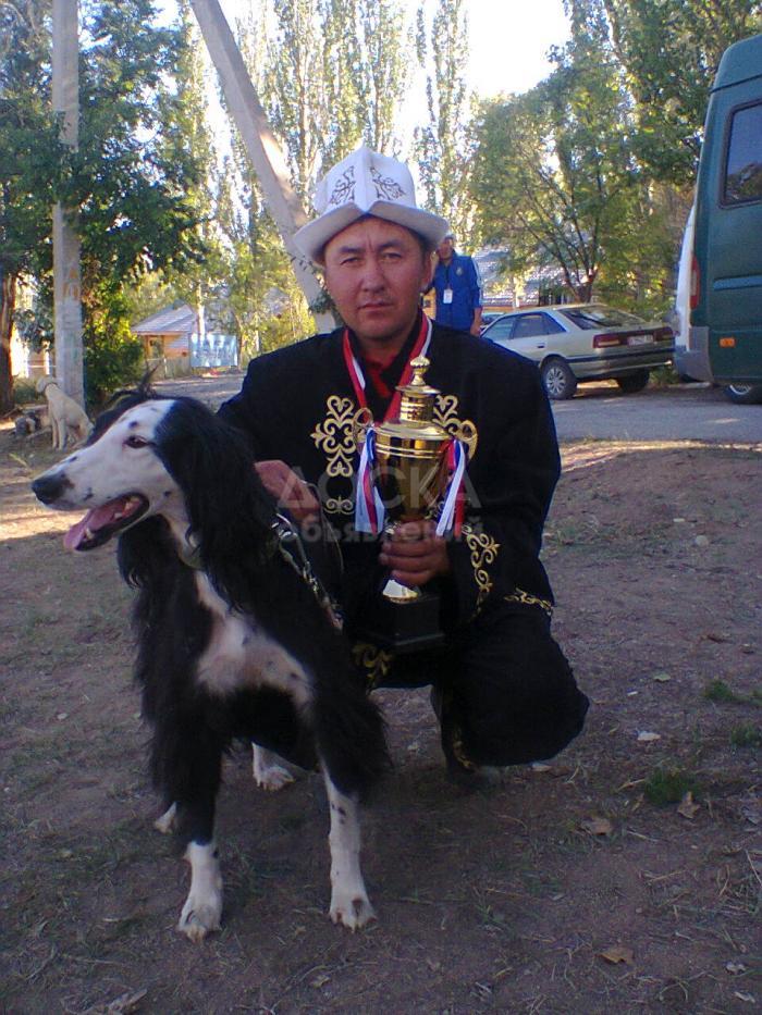 Продаю торговые помещения 14кв. м., ТАЛАС ,