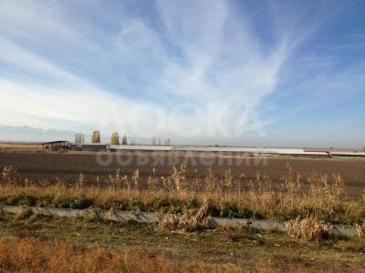 Продаю зарыбленное озеро