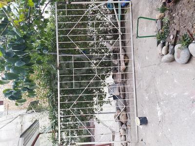 Решетка на окна