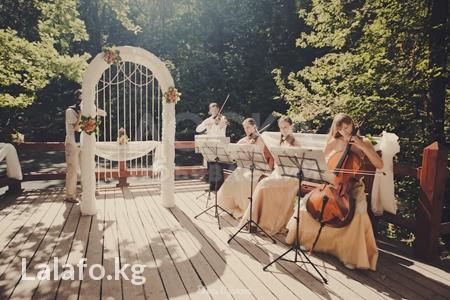 тойго квартет чакыргыла