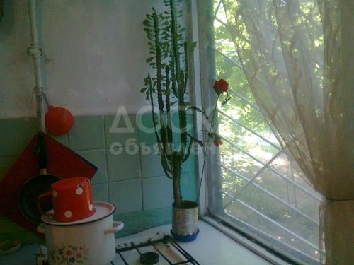 Продам декоративный цветок типа кактус