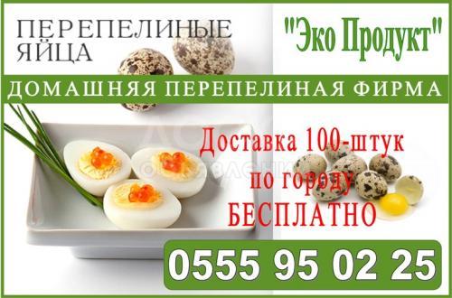 Домашняя перепелиная фирма "Эко продукт"