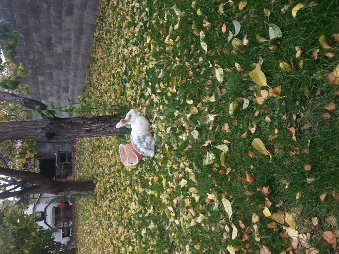 Срочно продаю 2х комнатную квартиру.