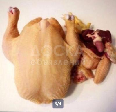 КУРЫ ОПТОМ!!!