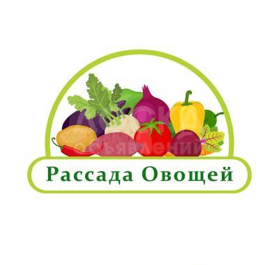Рассада Овощей