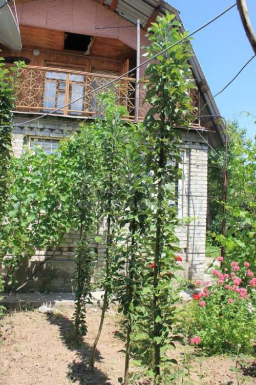 Продаю дачу 4-ком., 60кв. м., этаж-2, 42-сот., стена кирпич, 15 км от г. Кант.