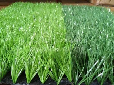 Искусственный газон FIFA