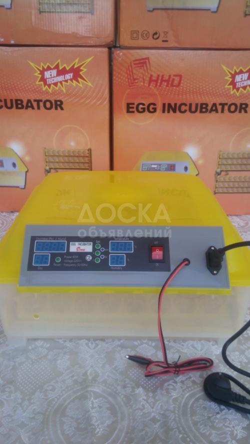 Инкубаторы в Кыргызстане!