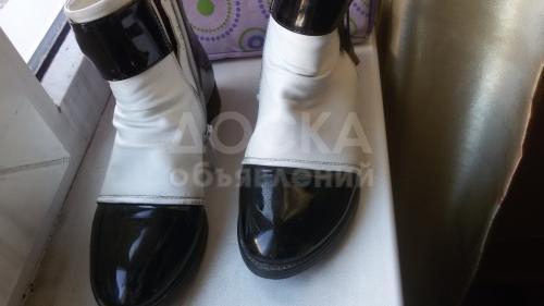 Сапоги деми