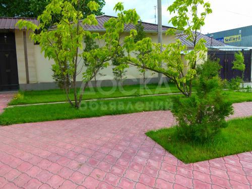 Разрабатываю авторские проекты ландшафтного дизайна