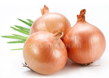 Продаю репчатый лук(пияз) местный оптом.