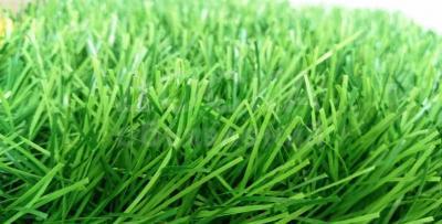 Искусственный газон, акция