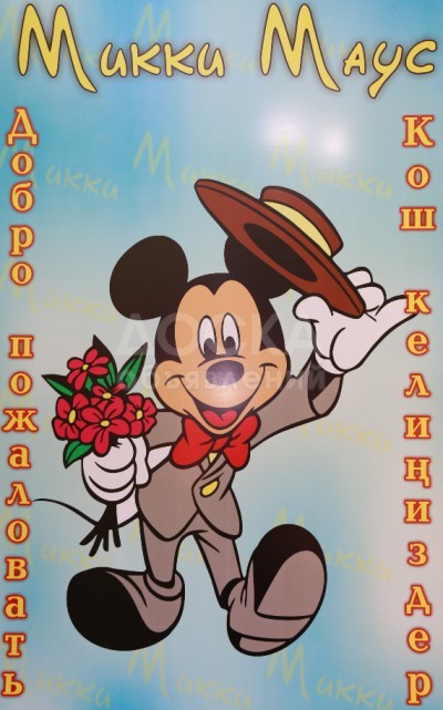 Детский Сад Микки Маус