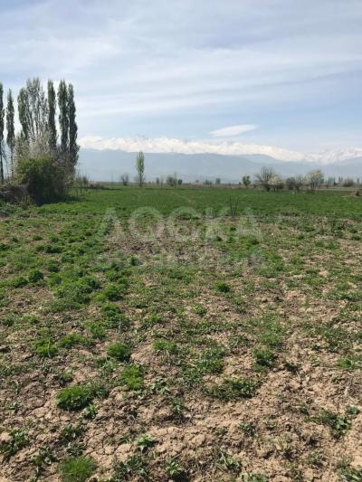 Продаю дом 4-ком. 90кв. м., этаж-1, 20-сот., стена другое, Первомай.