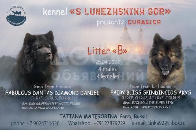 Евразиер - редкая порода